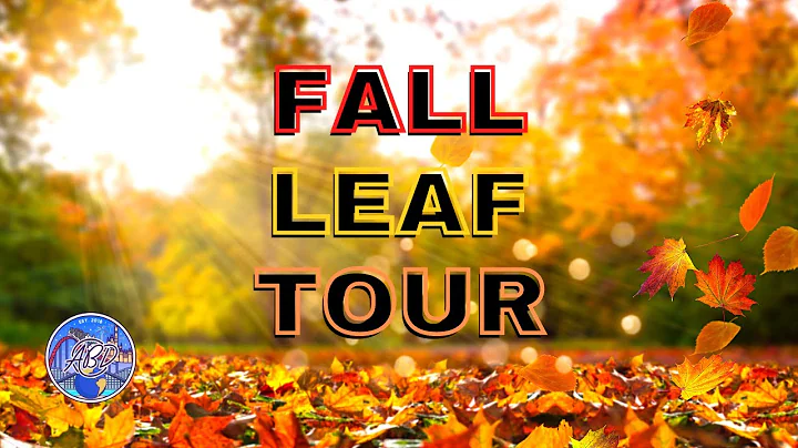 Fall Leaf Tour - Amazing Peak Autumn Fall Foliage North Georgia Drive 2022 4K