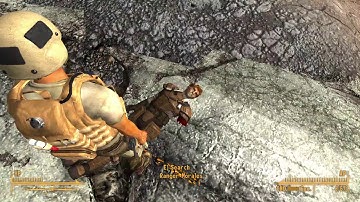 Fallout NV how he blink tho?