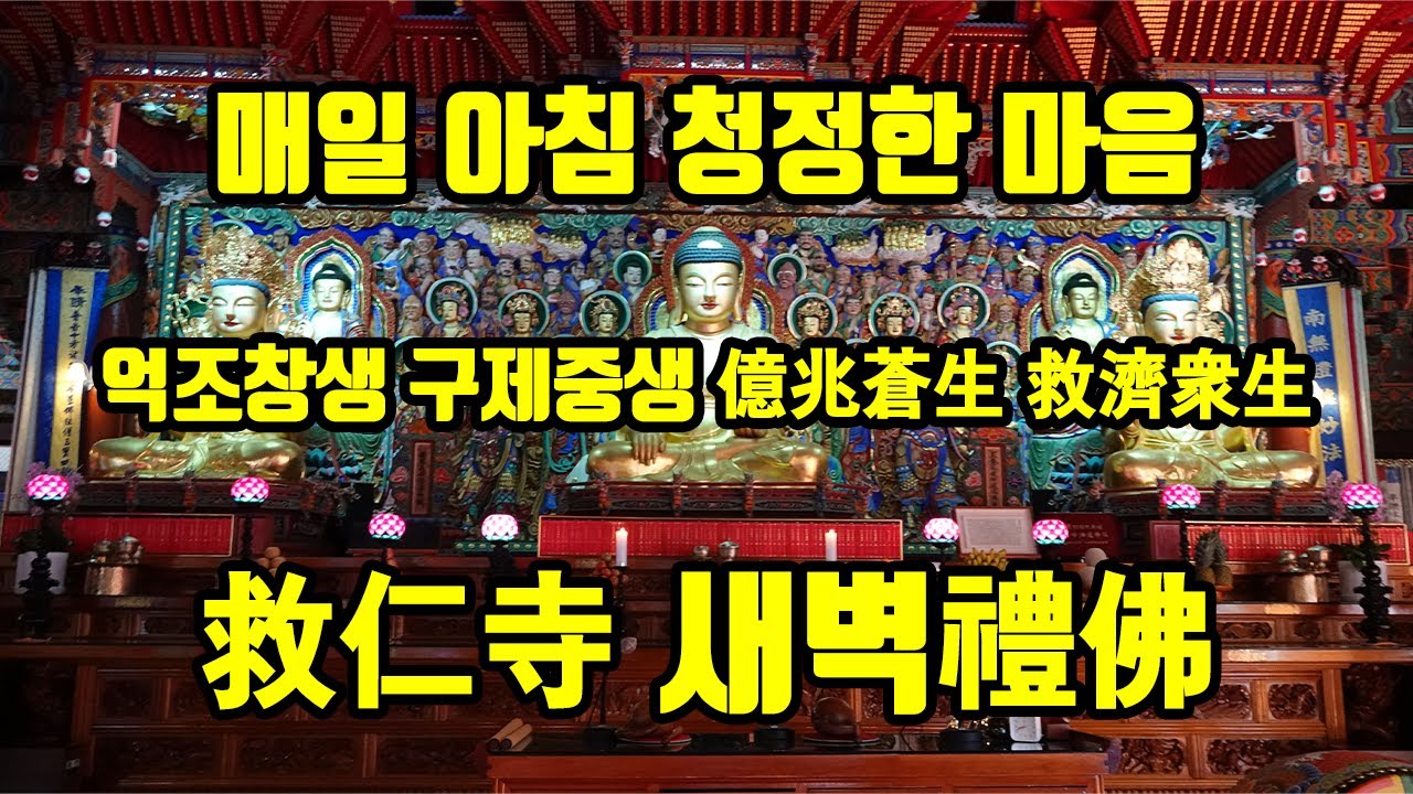 매일 아침 청정한 마음 억조창생 구제중생 구인사 새벽예불 #구인사 #천태종 #새벽예불