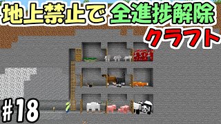 【マインクラフト】#18 地上禁止で全進捗解除クラフト　～難関進捗たくさん解除～【マイクラ】