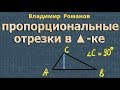 пропорциональные отрезки в ПРЯМОУГОЛЬНОМ ТРЕУГОЛЬНИКЕ 8 класс