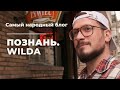 Познань. Какой район выбрать? Wilda