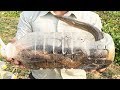 Making Eel Traps - How To Catch Eel with Plastic Bottle