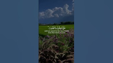 لن تنالوا البر حتى تنفقوا مما تحبون || سورة آل عمران || القارئ: علي جابر