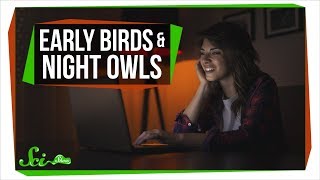 What Being a Night Owl Does to Your Health | SciShow News What Being a Night Owl Does to Your Health | SciShow News