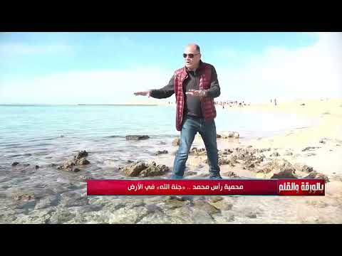 لأول مرة هذا هو المكان الذي شهد قصة سيدنا موسى مع الخضر عن خرق السفينة