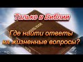 243. Где найти ответы на жизненные вопросы? Только в Библии