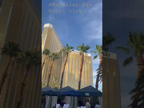 SCARED MONEY DONT MAKE MONEY 😂 #gamble #gambling #lasvegas #craps #casino