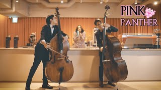 PINK PANTHER Theme (Double Bass)