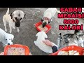 KÖYDE SABAH İŞLERİ~5000 KALORİ ~TAM KADRO BAKIM