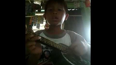 anak kecil main gitar  ukulele