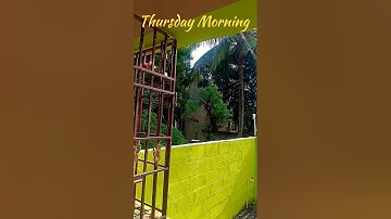 🥰Happy Morning 🥰#shorts #minivlog #song #cooking #trending #viral #morning