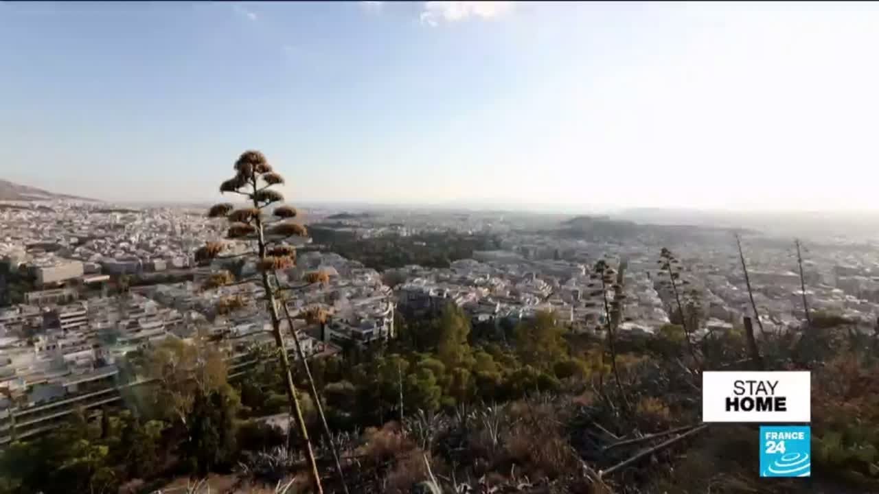 Pandemics in history: The Plague of Athens