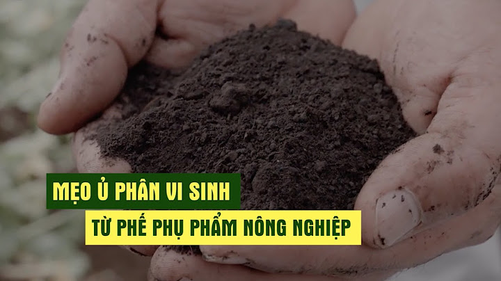 Cách ủ phân hữu cơ từ có