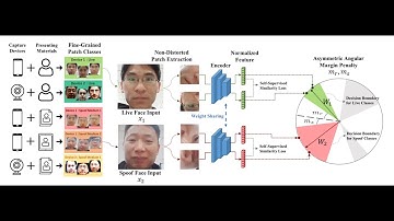 PatchNet: A Simple Face Anti-Spoofing Framework via Fine-Grained Patch Recognition (CVPR 2022)