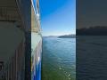 Is this the perfect beginner river cruise? #cruise #shorts