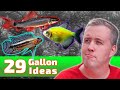 The BEST Ideas for Your 29 Gallon Fish Tank