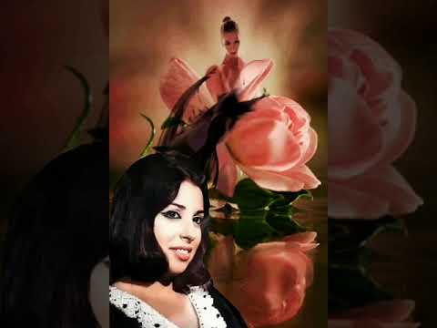 نجاة الصغيره على طرف جناحك يا حمام