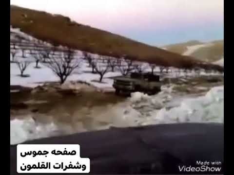 عشاق الجرود والمغامرة حياكم الله فليطة قارة النبك يبرود عسال الورد القلمون