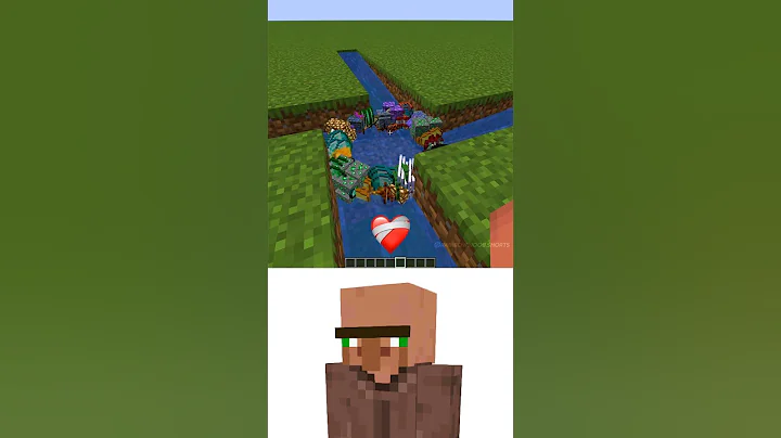 (Item Whirlpool 😱) Minecraft Villager Ei Ei Ei Meme #minecraft #memes #funny #fyp