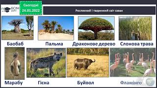картинка: ЯДС 4 клас 25. 01. 22