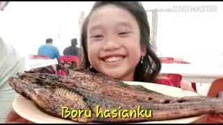 Tondi-tondiku doho Boru hasianku...