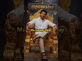 THALAPATHY VIJAY TVK MASS video #thalapathyvijay #tvkvijay