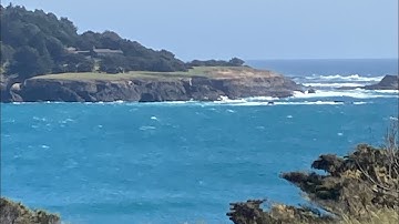 Reverse Speech - Woo woo Dude on “an incredible rise in cryptos”. 100 or 500 days? See description👇