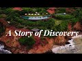 A story of discovery 