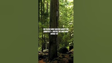 “Stop Scrolling! This 15s Motivation Will Change Your Life #shorts #motivation