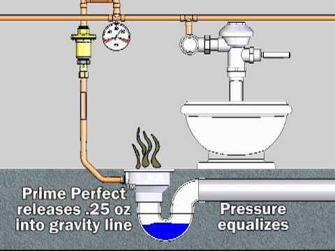 Trap primer distribution unit