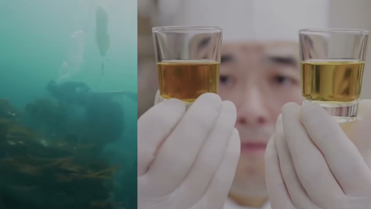 The Ultimate  Timeless Wisdom & Philosophy ASMR | feat. Alan Watts and others to help you craft 008