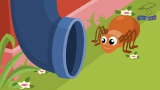 The Itsy Bitsy Spider. TinyGrads. Homeschool families screenshot 3