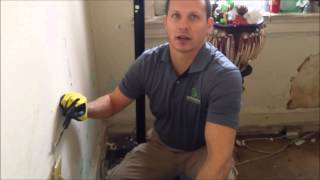 Ms Virginia's apartment gets bedbug treatment