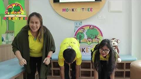 Jungle and Forest - Math Brain Break