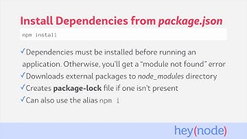 How to Install NPM Packages