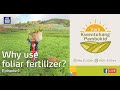 Why Use Foliar Fertilizer?