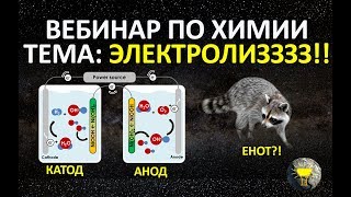 ХИМИЯ ЕГЭ 2019 |ЭЛЕКТРОЛИЗ ХИМИЯ ЕГЭ 2019 |ЭЛЕКТРОЛИЗ