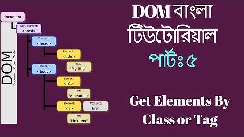 Bangla JavaScript DOM Tutorial #5 - Get Elements By Class or Tag