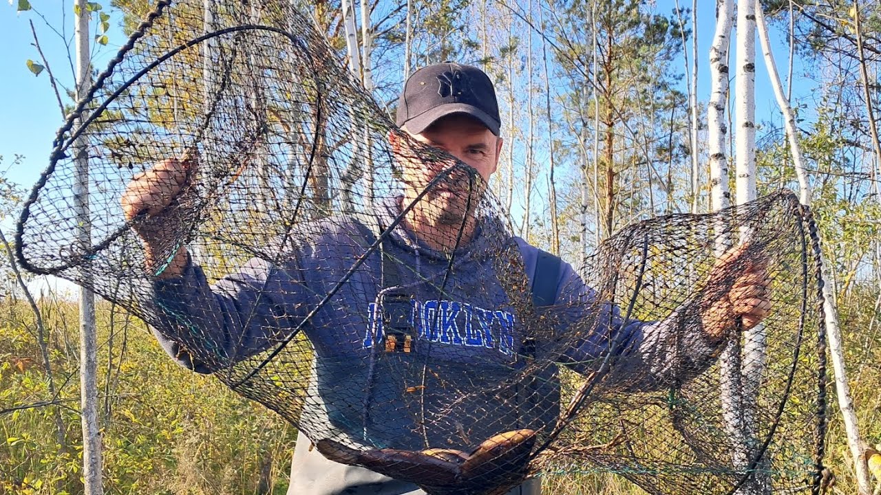 Перевірка ятерів, є улов. Ставлю у не прохідному болоті.