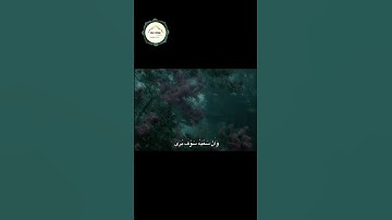 المنشاوي تلاوات نادرة ❤️ #المصحف #تلاوة #ذكرى #راحة_نفسية #قرآن #تجويد #مصر #المنشاوي