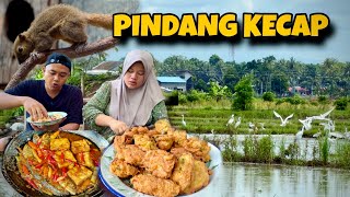 Download Lagu PINDANG KECAP TAHU TELOR SUWASANA RUMAH DAN HEWAN PELIHARA’AN…‼️😍 MP3