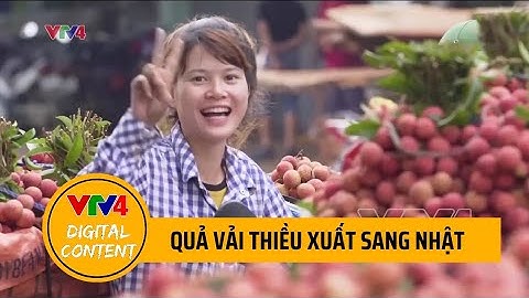 Quả vải Việt Nam xuất khẩu sang Nhật Bản: bảo đảm qui trình, nâng cao chất lượng | VTV4