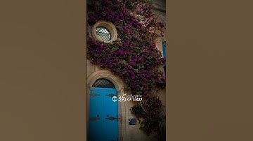 سورة الشرح بصوت الشيخ عبدالودود حنيف #quran