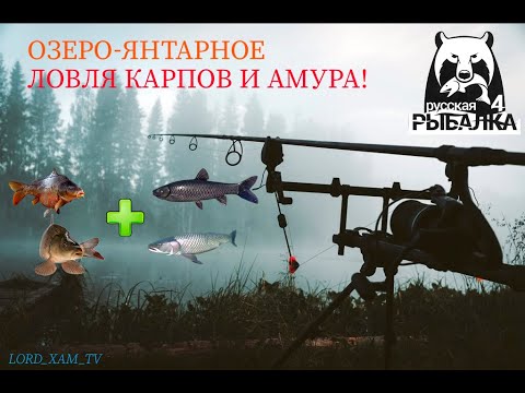 Видео: Русская Рыбалка 4! Чилим на раслабоне!!!