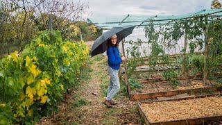 Tour Huerta de Otoño | Paseo Mientras Llueve y Vemos la Captación de Agua