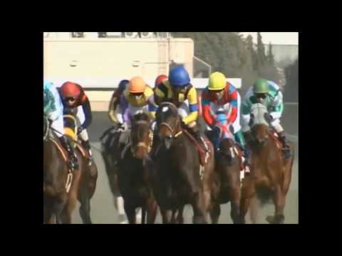 2004フィリーズレビュー（安藤勝己）