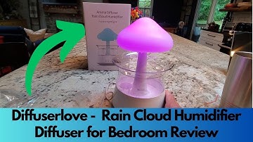 Diffuserlove Rain Cloud Luchtbevochtiger Diffuser voor Slaapkamer - Review