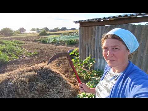 Есть план! Иду к цели.