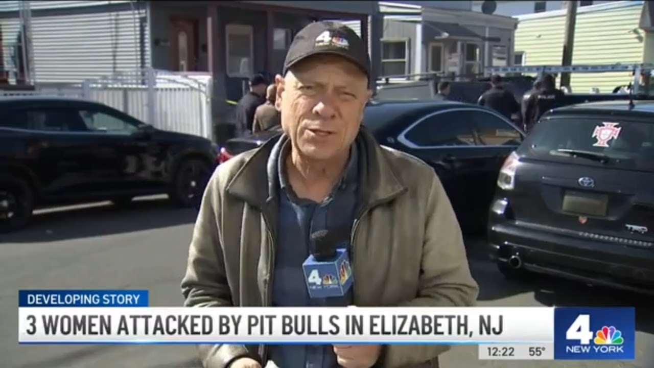 3 Women Attacked by Dogs in New Jersey; Cops Open Fire | News 4 Now ...